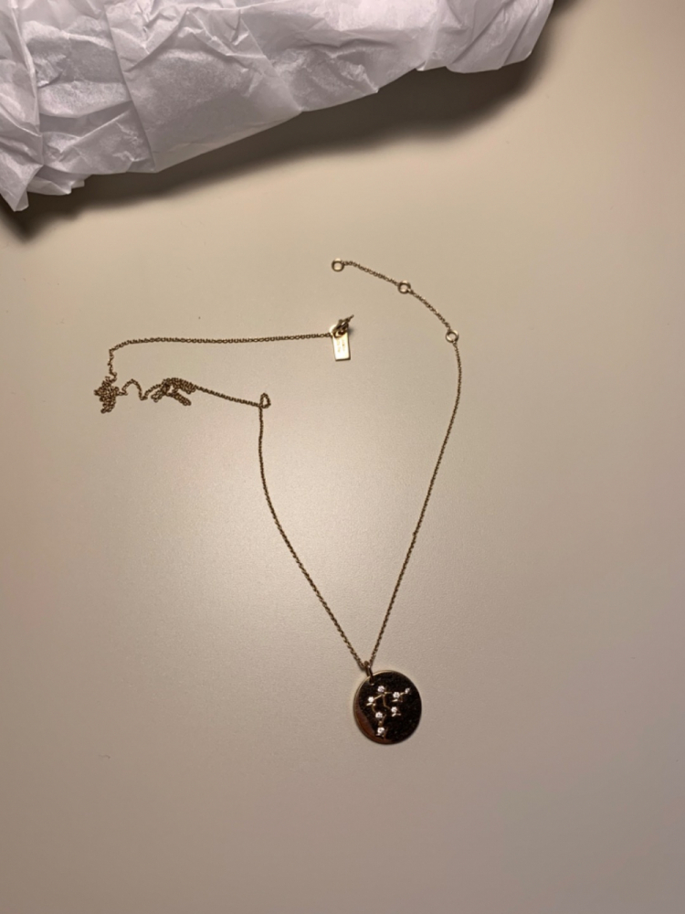 Avinas Zodiac Aquarius Necklace