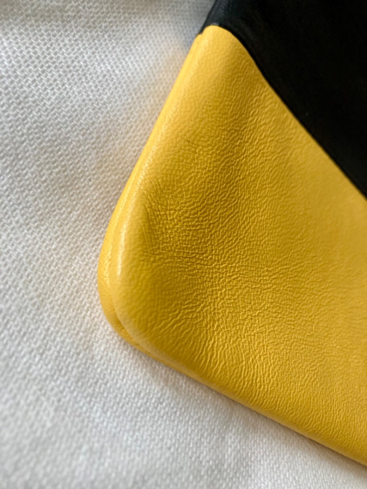 Celine Pochette bicolore