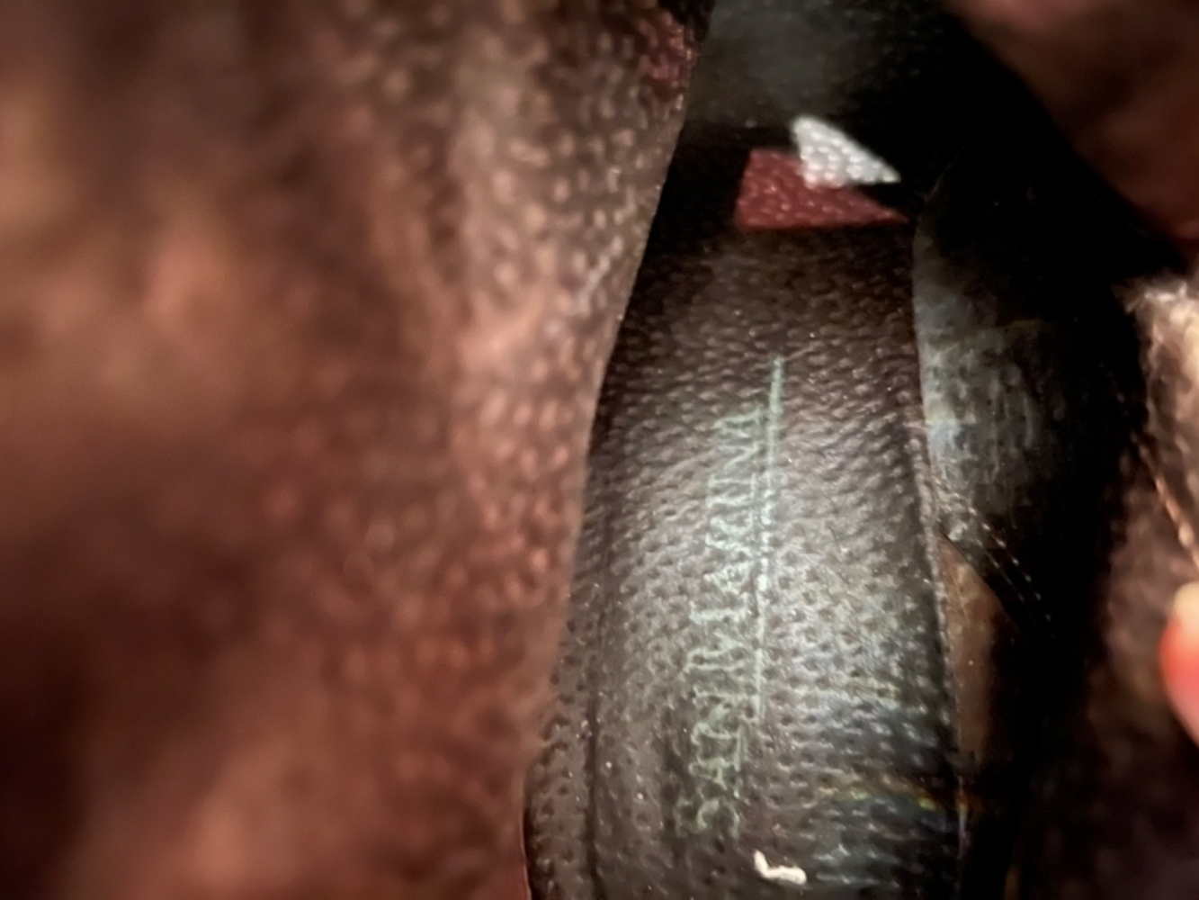 San Marina Bottes très stylés