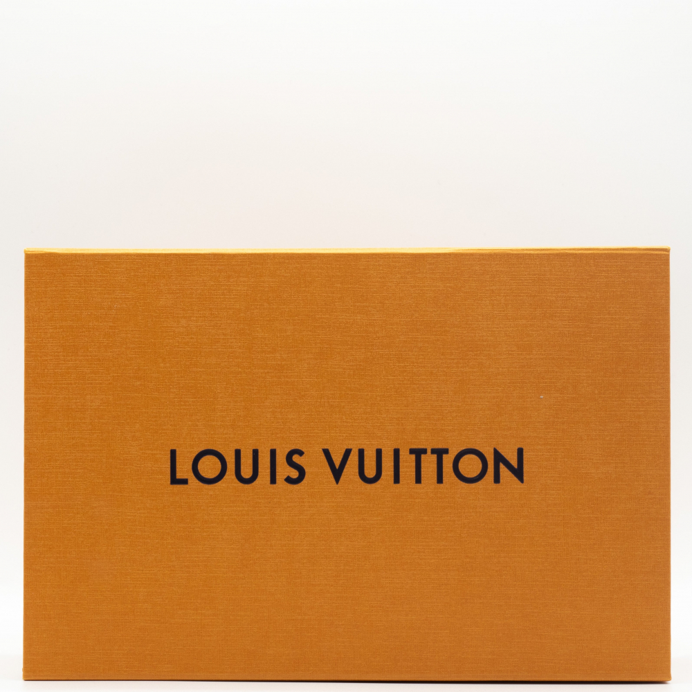 Louis Vuitton Multi Pochette Accessories By The Pool
