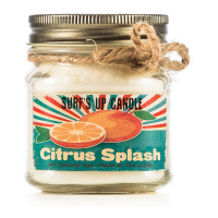 StoneGlow 'Citrus Splash' Scented Candle - 227 g