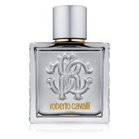 Roberto Cavalli 'Uomo Silver Essence' Eau De Toilette - 100 ml