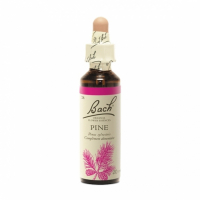 Fleurs de Bach 'Pine' Ätherisches Öl - 20 ml