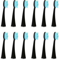 Ailoria 'Shine Bright Replacement' Toothbrush Head - 12 Units