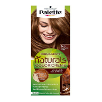 Palette Teinture pour cheveux 'Palette Natural' - 5.6 Hazelnut Brown