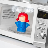 Innovagoods Microwave Cleaner