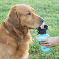 Innovagoods Water Dispenser & Bottle For Dogs