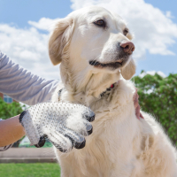 Innovagoods Bürsthandschuh für Haustiere