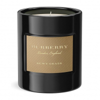 Burberry 'Dewy Grass Scented' Scented Candle - 240 g