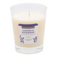 Candle-Lite 'Juniper & Rosewood' Duftende Kerze - 255 g