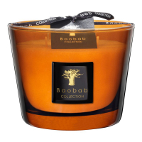 Baobab Collection Bougie parfumée 'Cuir De Russie' - 16 cm x 10 cm