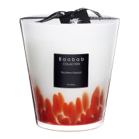 Baobab Collection 'Feathers Maasai' Scented Candle - 16 cm x 16 cm