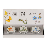 Fikkerts Cosmetics 'Botanical Lip Balm' Lip Balm Set - 3 Pieces