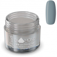 Elisium Diamond Powder - Blue Silver DS304 23 g