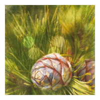 Laroma 'Arolle' Scented Sachet - Pinus Cembra