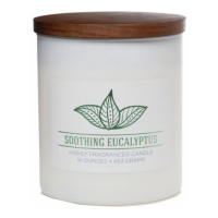 Colonial Candle Bougie parfumée 'Wellness Collection' - Soothing Eucalyptus 453 g
