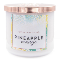 Colonial Candle 'Everyday Luxe' Duftende Kerze - Pineapple Mango 411 g