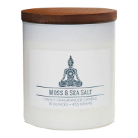 Colonial Candle Bougie parfumée 'Wellness Collection' - Mousse et sel de mer 453 g