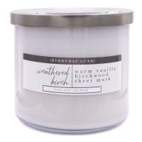 Colonial Candle Bougie parfumée 'Weathered Birch' - 411 g