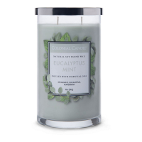 Colonial Candle 'Eucalyptus Mint' Duftende Kerze - 538 g