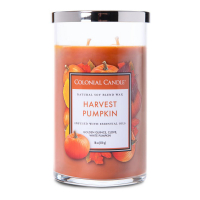 Colonial Candle Bougie parfumée 'Classic Cylinder' - Harvest Pumpkin 538 g