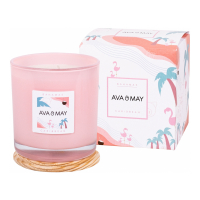 AVA & MAY Bougie parfumée 'Bahamas Maxi' - 500 g
