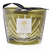 Baobab Collection 'Palm Springs' Scented Candle - 16 cm x 10 cm