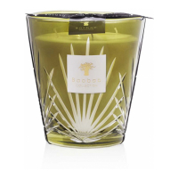 Baobab Collection 'Palm Springs' Scented Candle - 16 cm x 16 cm