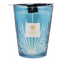 Baobab Collection 'West Palm' Scented Candle - 24 cm x 24 cm