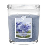 Colonial Candle 'Morning Dew' Scented Candle - 226 g