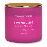 Colonial Candle Bougie parfumée 'Pop Of Colour' - Twinklin Lavender 411 g