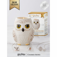 Charmed Aroma Women's 'Harry Potter Hedwig Owl' Candle Set - 500 g