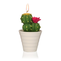 Versa Home Bougie 'Cactus With Pot'