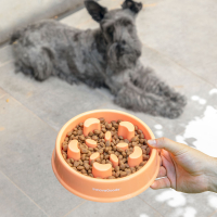 Innovagoods Slow Eating Food Bowl For Pets Slowfi