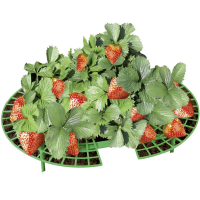 Wenko Unterstützung für Erdbeeren - 5 Stücke