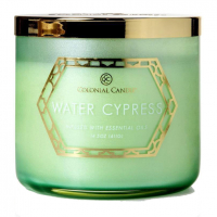 Colonial Candle 'Everyday Luxe' Duftende Kerze - Water Cypress 411 g