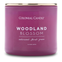 Colonial Candle 'Pop of color' Duftende Kerze - Woodland Blossom 411 g