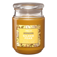Candle-Lite Bougie parfumée 'Gilded Pear' - 510 g