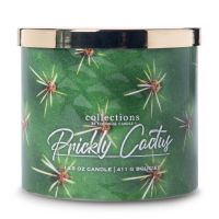 Colonial Candle 'Desert Prickly Cactus' Duftende Kerze - 411 g