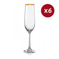 Aulica Coupe de champagne 'Gala' - 190 ml, 6 Pièces