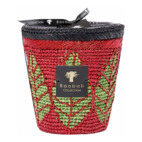 Baobab Collection 'Hazo Noely' Scented Candle - 16 cm x 16 cm