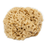 Banbu 'Natural Mediterranean Sea' Body Sponge