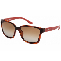 Salvatore Ferragamo Women's 'SF716S' Sunglasses