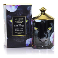 Ashleigh & Burwood Bougie parfumée 'Leopard Wild Things' - 700 g