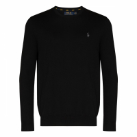 Polo Ralph Lauren Pull 'Logo Embroidery' pour Hommes