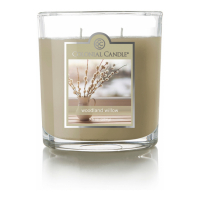 Colonial Candle 'Woodland Willow' Duftende Kerze - 269 g