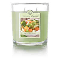 Colonial Candle 'Cucumber Melon' Scented Candle - 269 g