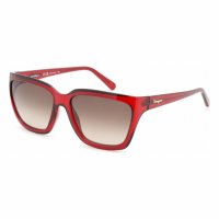 Salvatore Ferragamo Women's 'SF1018S' Sunglasses