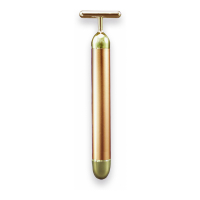 Terre Mère Cosmetics Masseur visage 'Gold Youth Wand'