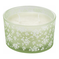 Mascagni 'Gardenia' Scented Candle - 4 Pieces